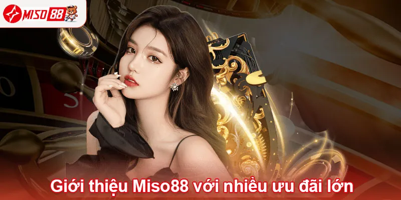 Giới thiệu Miso88 với nhiều ưu đãi lớn