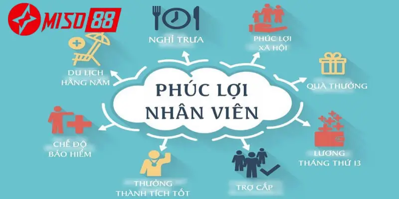 Miso88 dành nhiều phúc lợi cho nhân viên của mình